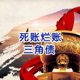六枝特要债公司