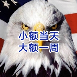 六枝特要账公司